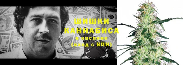 дживик Дмитров