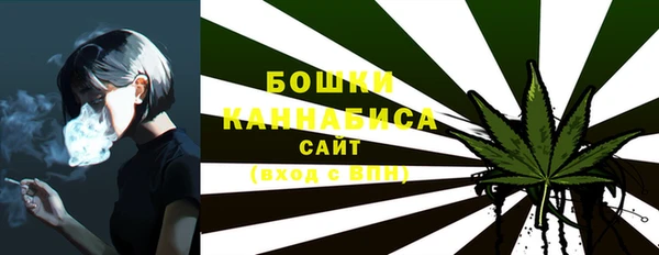 дживик Дмитров