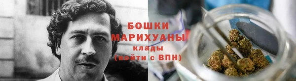 молекула духа Дмитровск
