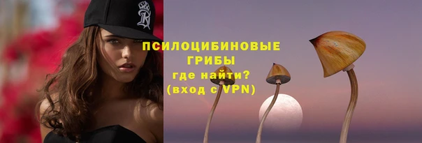 молекула духа Дмитровск