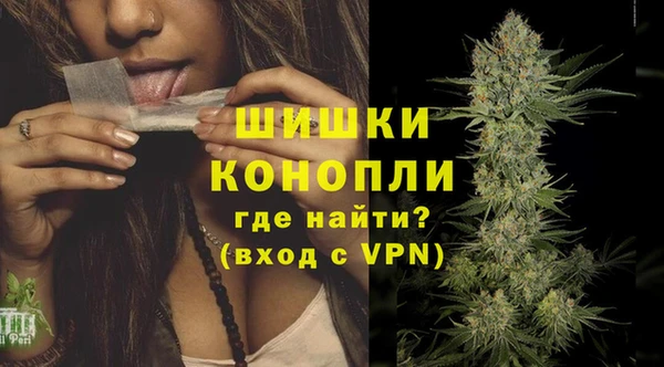 прущий лед Дмитриев