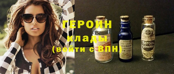 прущий лед Дмитриев