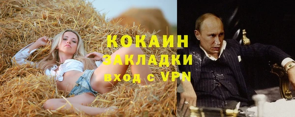 дживик Дмитров