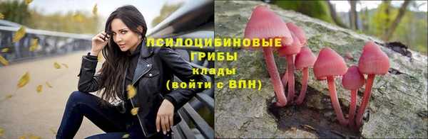 молекула духа Дмитровск