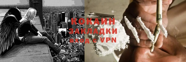 молекула духа Дмитровск