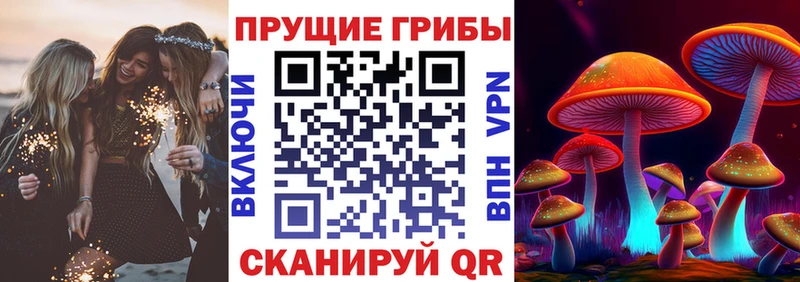 Галлюциногенные грибы Cubensis  Кисловодск 