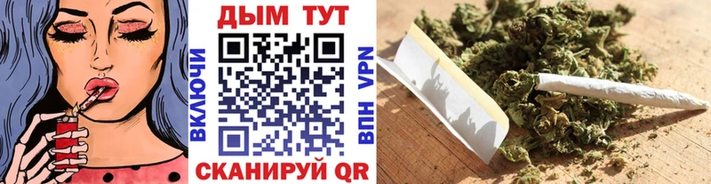 купить   Кисловодск  МАРИХУАНА OG Kush 